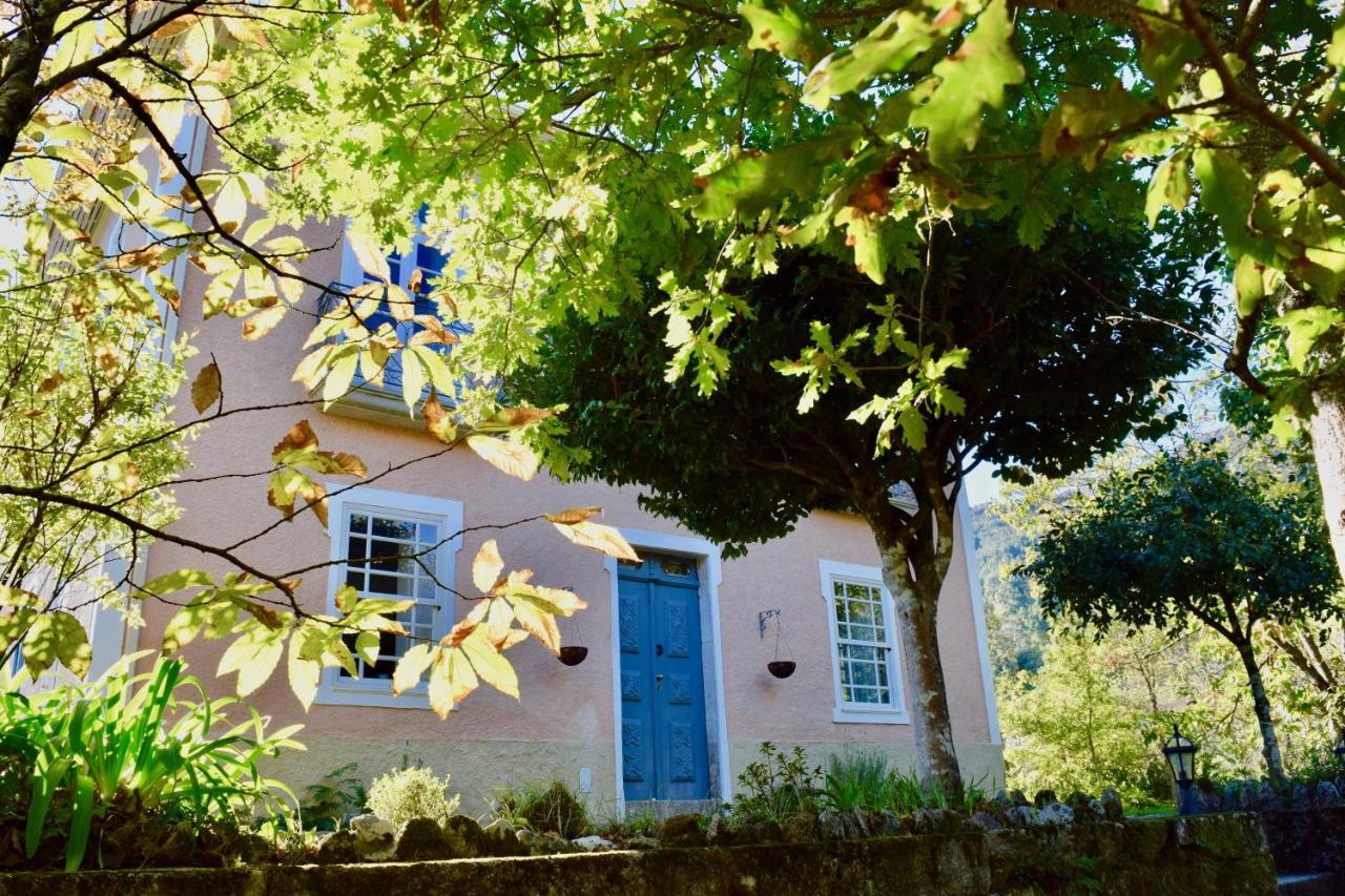 Casa Do Cabeco Bed and Breakfast Caramulo Εξωτερικό φωτογραφία