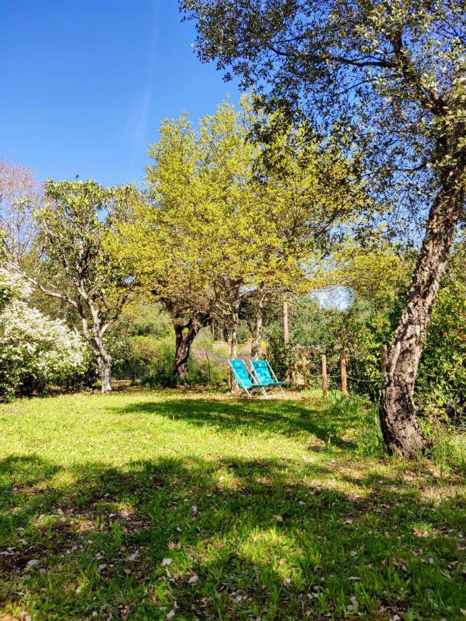 Casa Do Cabeco Bed and Breakfast Caramulo Εξωτερικό φωτογραφία