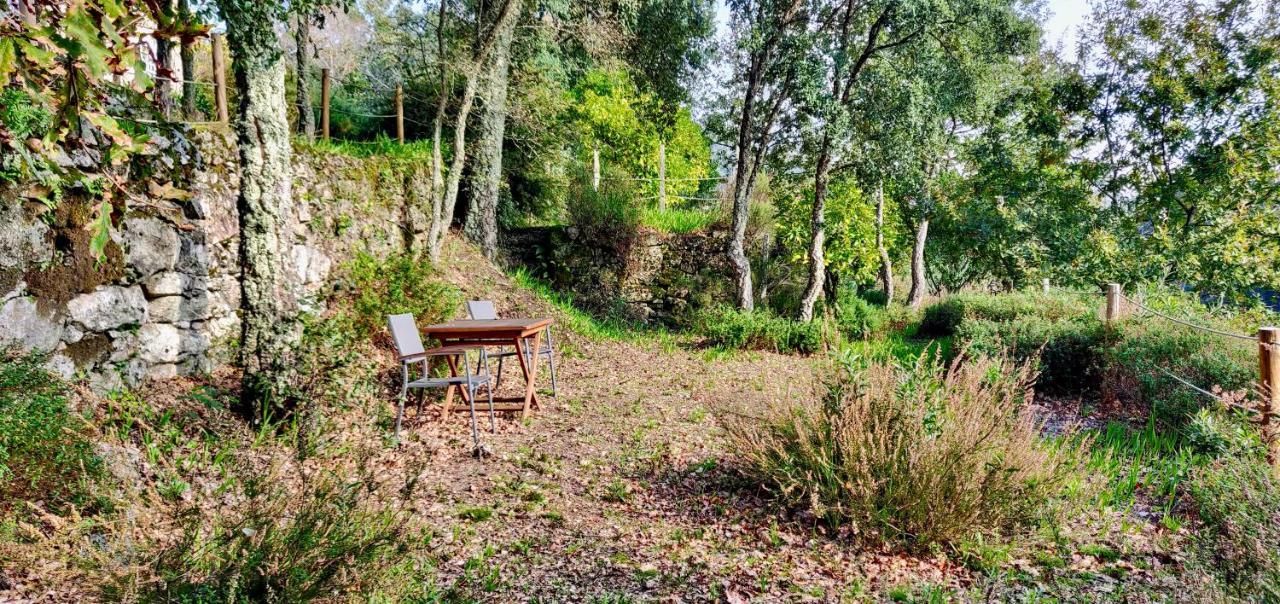 Casa Do Cabeco Bed and Breakfast Caramulo Εξωτερικό φωτογραφία