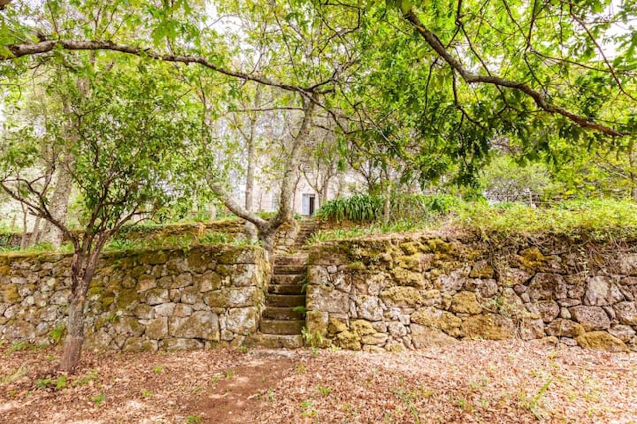 Casa Do Cabeco Bed and Breakfast Caramulo Εξωτερικό φωτογραφία