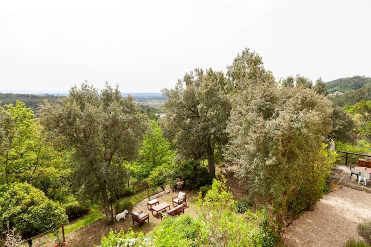 Casa Do Cabeco Bed and Breakfast Caramulo Εξωτερικό φωτογραφία
