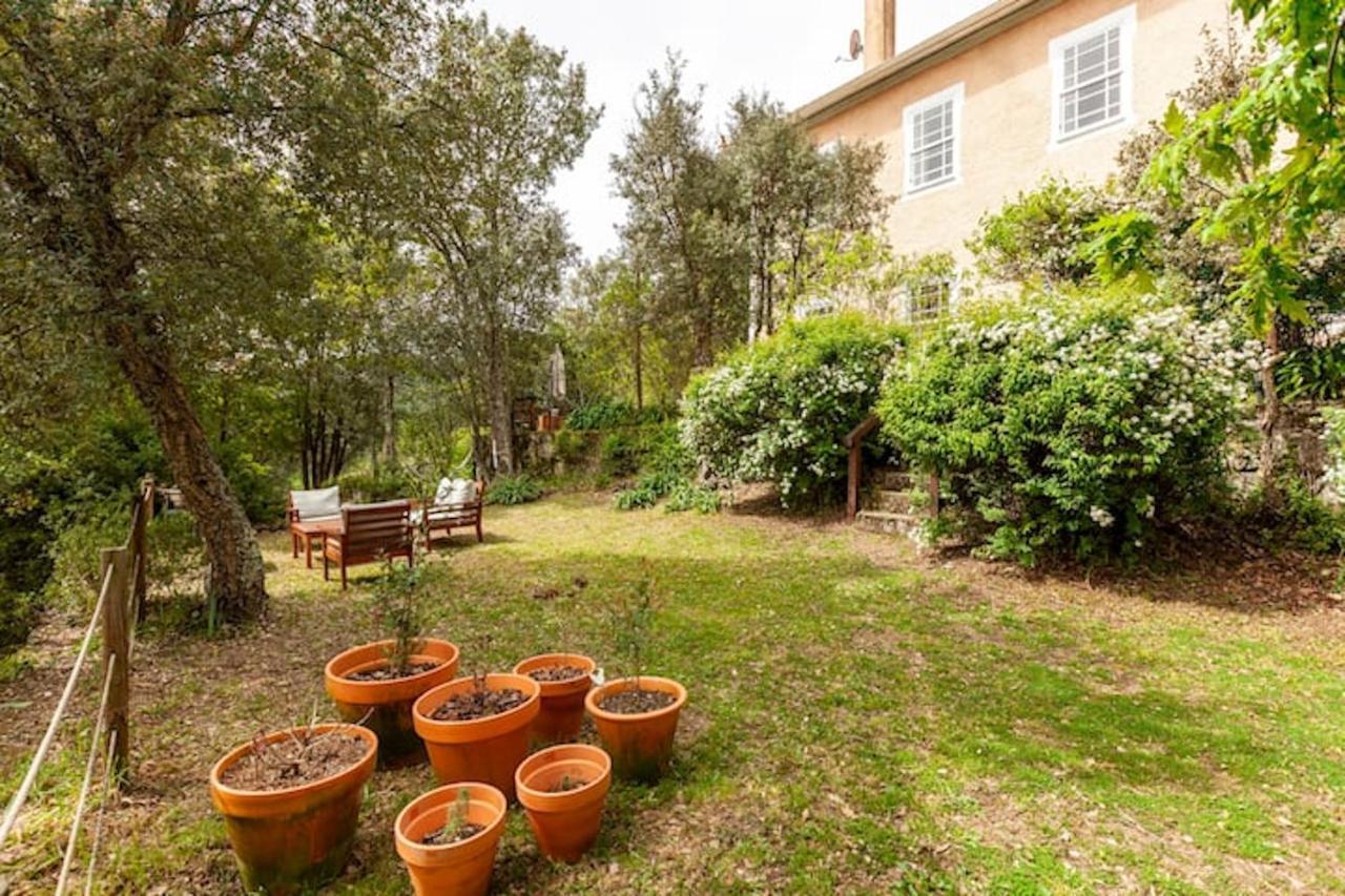 Casa Do Cabeco Bed and Breakfast Caramulo Εξωτερικό φωτογραφία