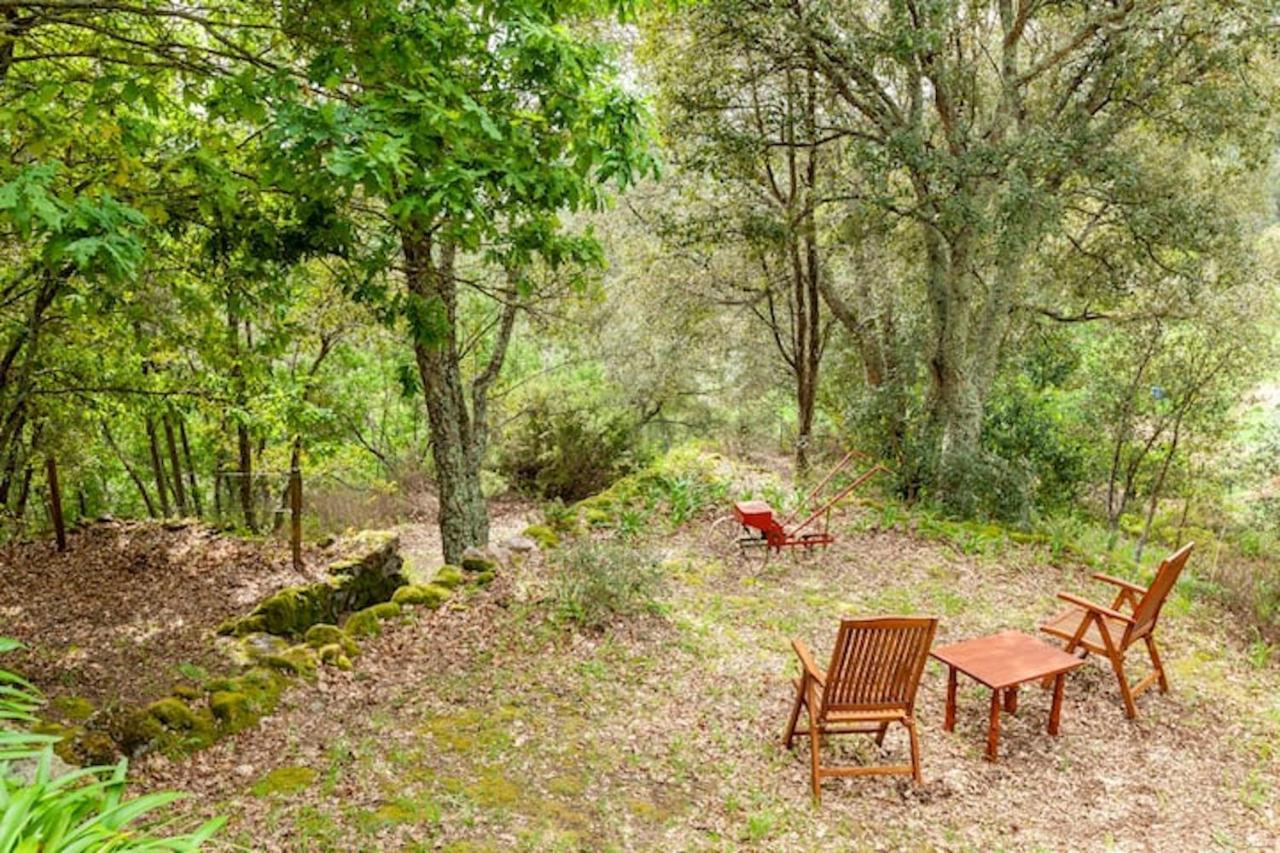 Casa Do Cabeco Bed and Breakfast Caramulo Εξωτερικό φωτογραφία