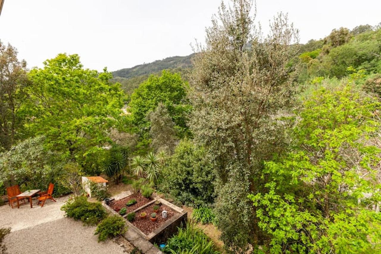 Casa Do Cabeco Bed and Breakfast Caramulo Εξωτερικό φωτογραφία