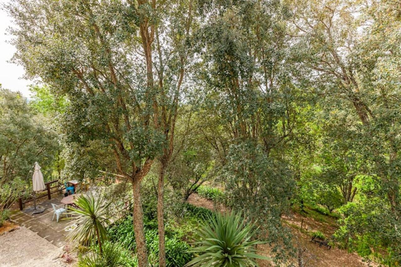 Casa Do Cabeco Bed and Breakfast Caramulo Εξωτερικό φωτογραφία