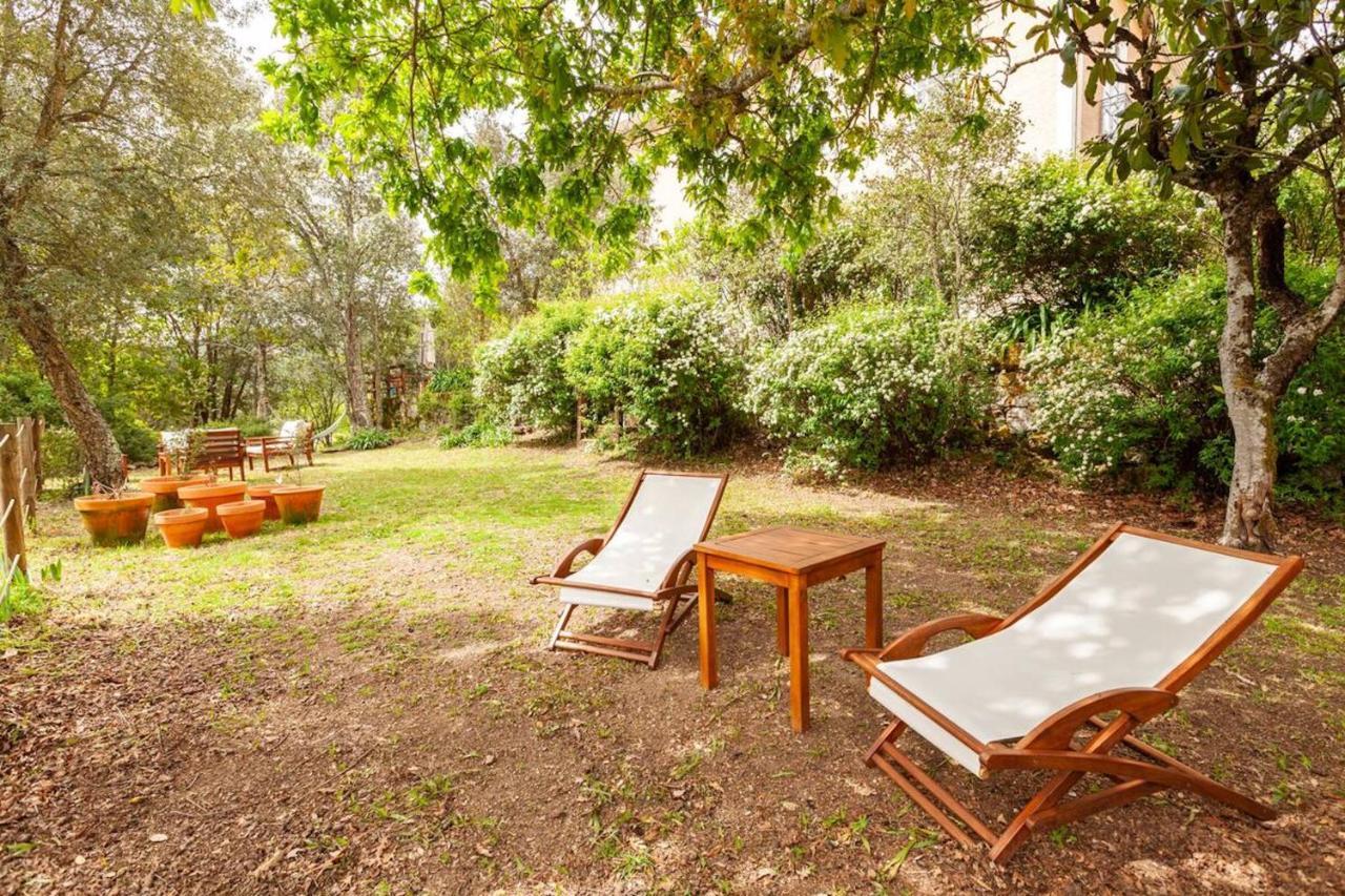 Casa Do Cabeco Bed and Breakfast Caramulo Εξωτερικό φωτογραφία